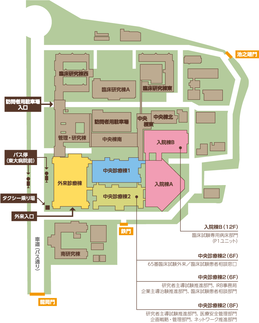 附属 東京 大学 病院 医学部